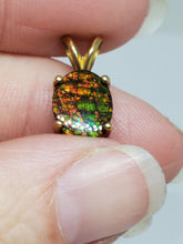 10k Yellow Gold Canadian Ammolite Pendant Backed