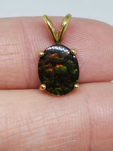 10k Yellow Gold Canadian Ammolite Pendant Backed