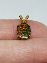 10k Yellow Gold Canadian Ammolite Pendant Backed