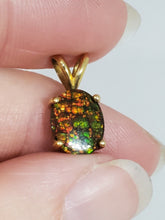 10k Yellow Gold Canadian Ammolite Pendant Backed